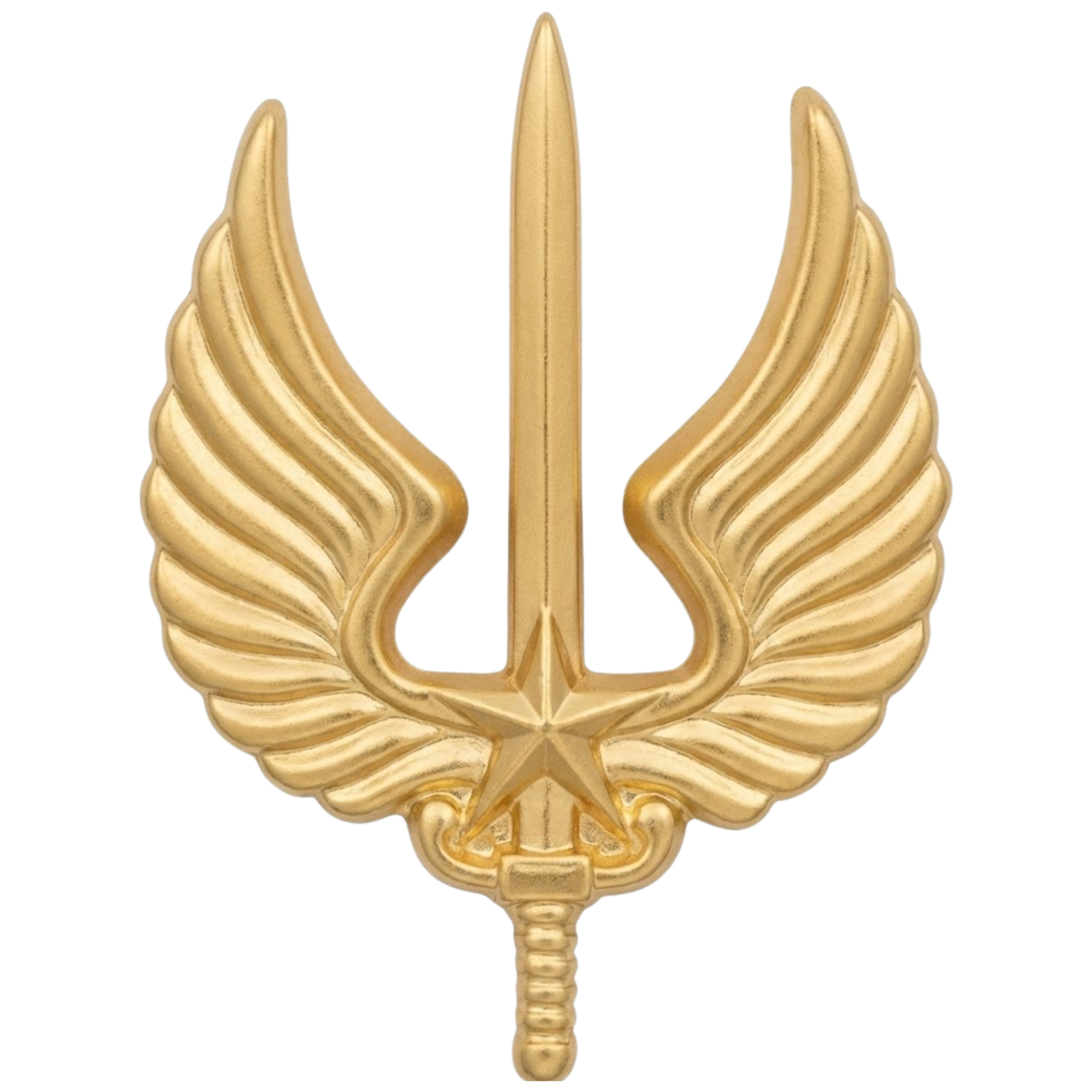 Brevet chef de section combat aéromobile