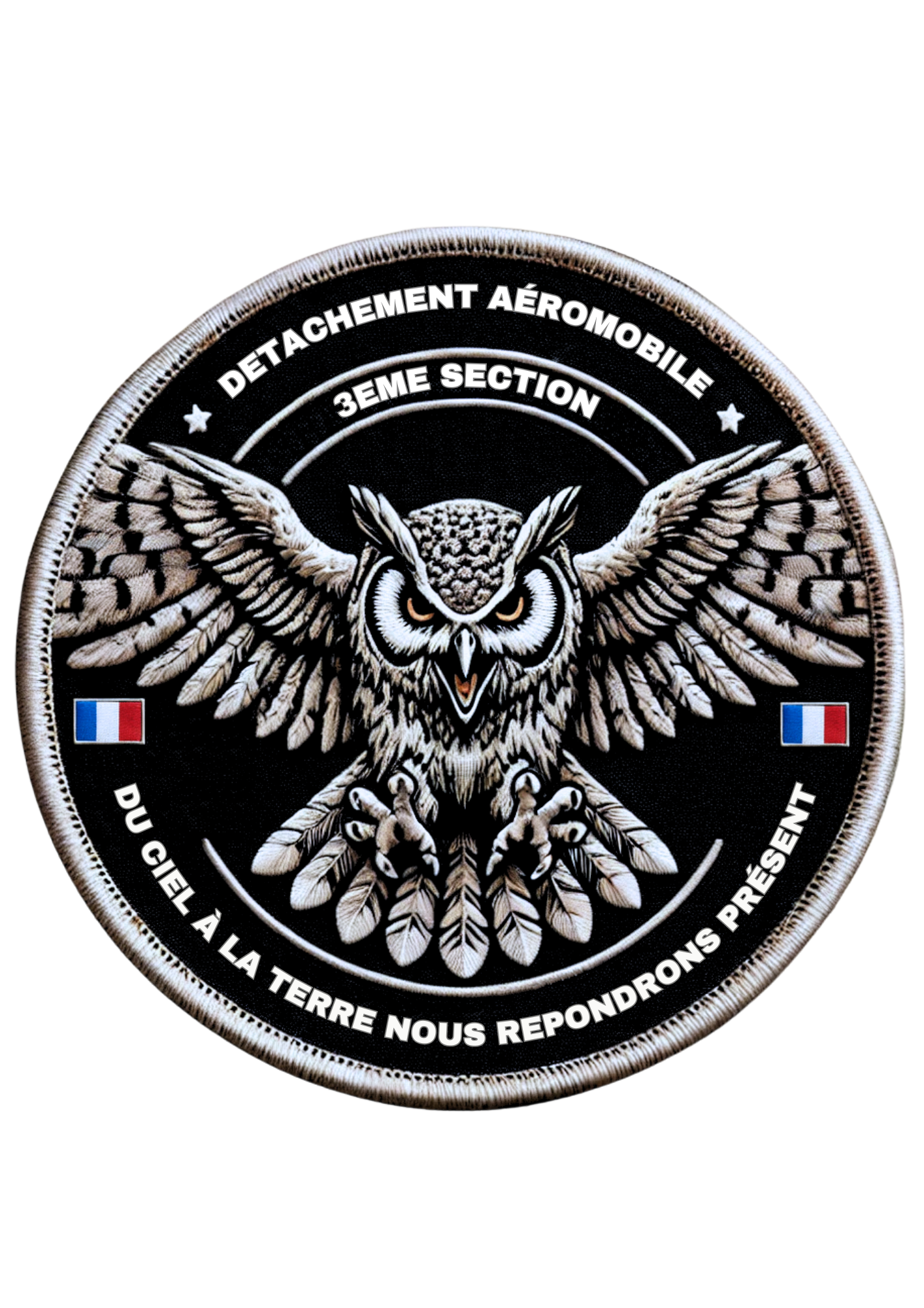 SECTION 3 - DETACHEMENT AEROMOBILE