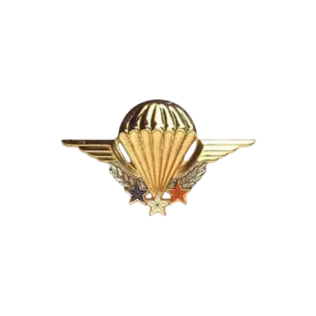 Insigne Brevet Instructeur Parachutiste Militaire