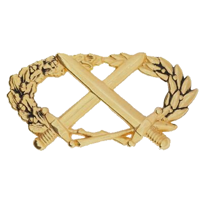 Brevet technique niveau 2