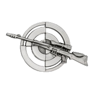 Brevet tireur de precision