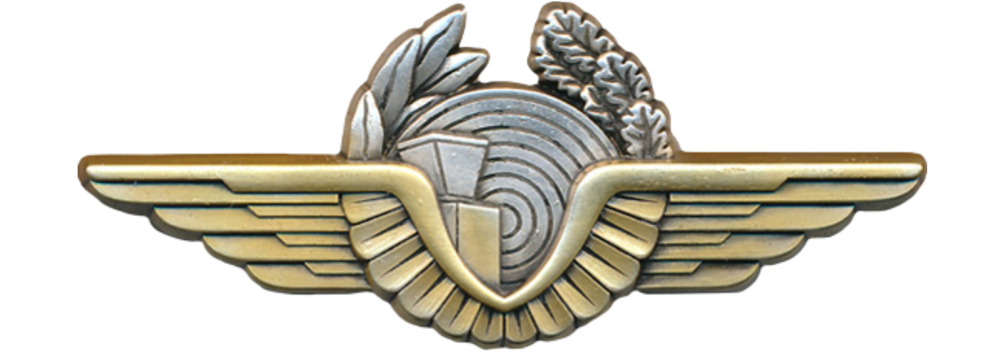 Brevet officier contrôleur de la sécurité aérienne