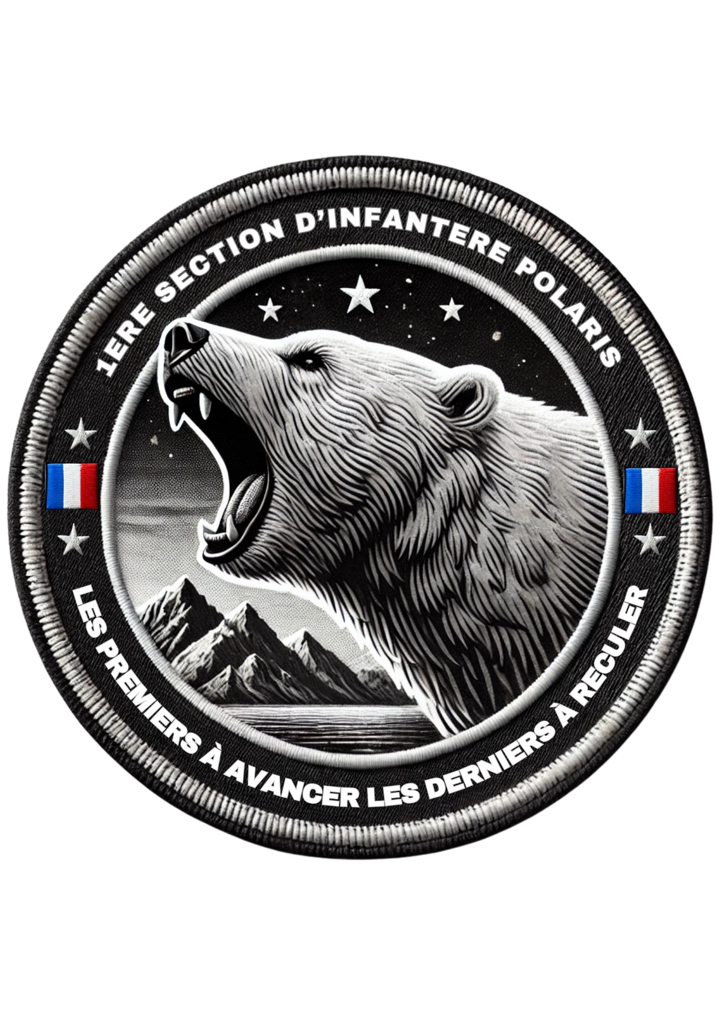1ER SECTION D'INFANTERIE POLARIS